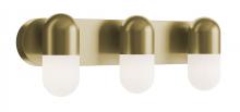 AFX Lighting, Inc. IRVV2406LAJUDLB - Irvine Vanity 24&#39;&#39; LED 5CCT 120-277V LB
