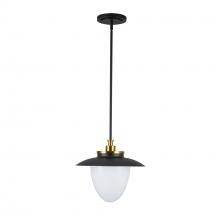 Artcraft AC11905BB - Dahlia 1 Light Pendant 15&#34;, Black