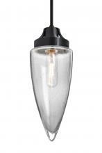 Besa Lighting 1JC-SULUCL-BK - Besa, Sulu Cord Pendant, Clear Bubble, Black Finish, 1x60W Medium Base