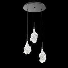 Hammerton CHB0059-05-FB-BC-C01-L1 - Blossom Round 5pc Multi-Pendant