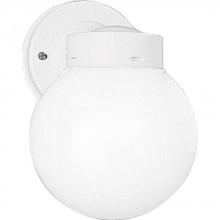 Progress P5604-30 - One-Light 6&#34; Glass Globe Outdoor Wall Lantern