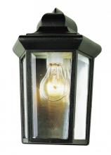 Trans Globe 4483 RT - Rendell 12-In. 1-Light, Beveled Glass Outdoor Pocket Wall Lantern