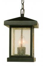 Trans Globe 45643 WB - Santa Cruz 13&#34; Hanging Lantern