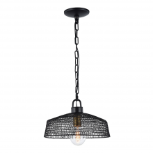 ZEEV Lighting P30066-1-DBZ - 1-Light 13&#34; Metal Shade Pendant