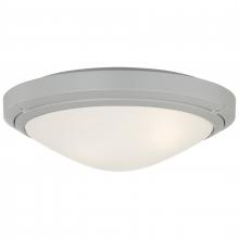 Access 20356LEDDMGLP-SAT/FST - Outdoor LED Flush Mount