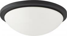 Nuvo 62/1443 - Button LED - 13&#34;- Flush with Frosted Glass - Black Finish