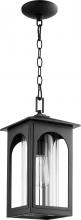 Quorum 704-8-69 - Harbor 8&#34; Pend - NR