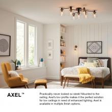 Hinkley 4513HB - Large Adjustable Semi-flush Mount