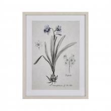 ELK Home S0056-10634 - Daffodil Botanic Framed Wall Art